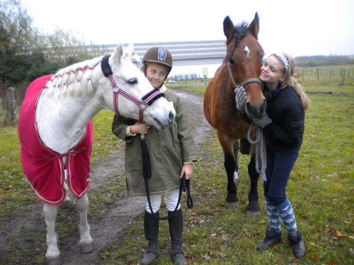 Anden særlig race Rosita ' R.I.P ' <3 :( - til stævnet <3 // taget af sarah billede 14