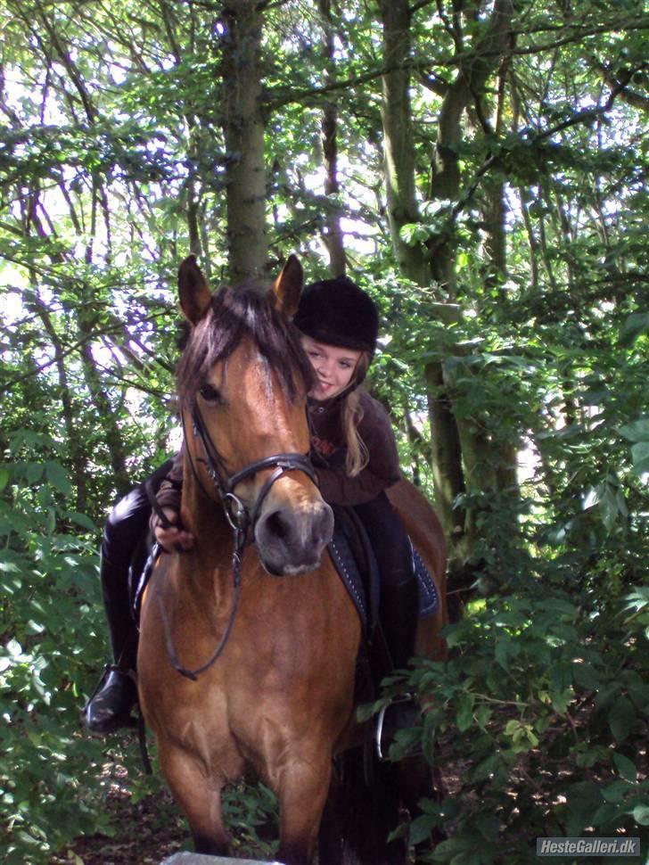 Anden særlig race Rosita ' R.I.P ' <3 :( - det perfekte team <3 ! <3 // taget af sarah billede 17