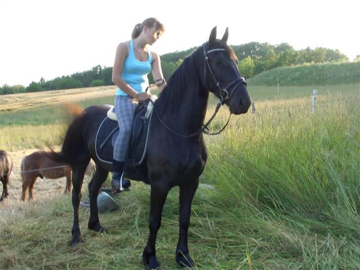 Frieser Sieta R.I.P - Første gang jeg sidder på ryggen af Sieta, billede 13