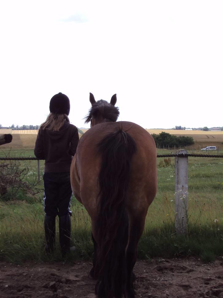 Anden særlig race Rosita ' R.I.P ' <3 :( - os for altid :D <3 // taget af sarah billede 19