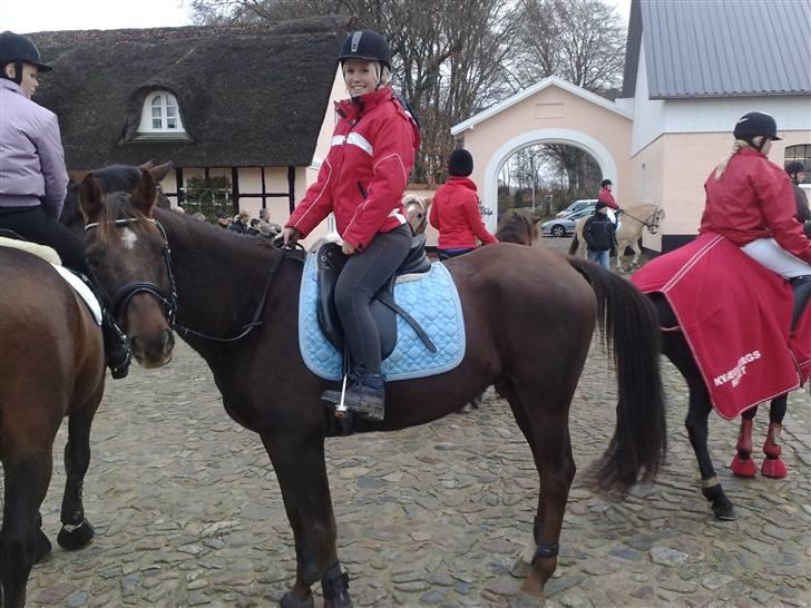 Anden særlig race Spartan El' Sansal billede 6