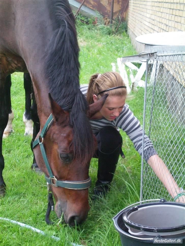 Anden særlig race Flint <3 R.I.P † 23.05.11 - If the rain must fall, if I lose it all. If the world comes down, and takes any soul. If the sky turns black, and there´s no no way back. It won´t matter much to me, cause I got you. billede 2