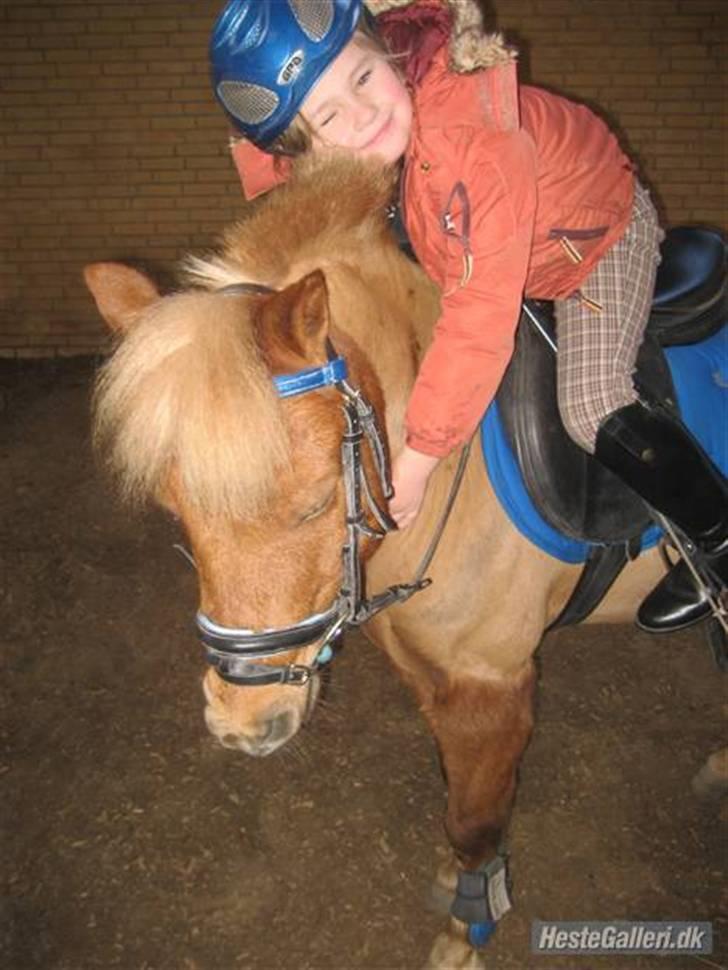 Anden særlig race Simba ******Solgt***** - simba du er alt :) billede 5