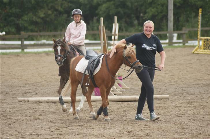 Anden særlig race Simba ******Solgt***** - Lille Sara og store Simba , går tur billede 7