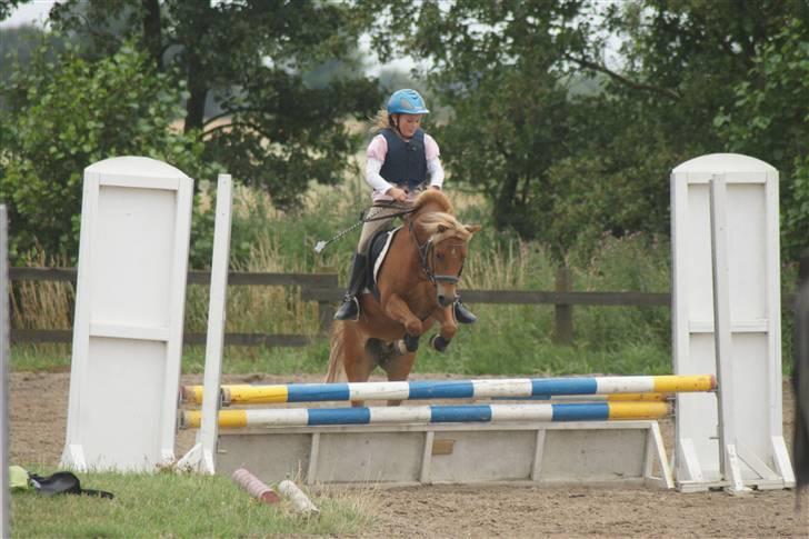 Anden særlig race Simba ******Solgt***** billede 9