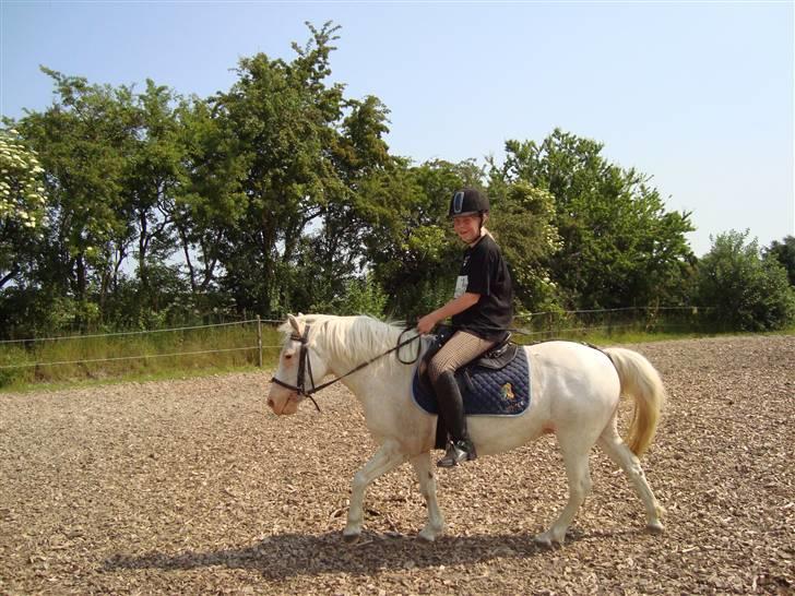 Anden særlig race Ofelia! *SOLGT:´(* - hyp hyp lille hest:) vi prøver lige at komme i trav:) foto: Merle billede 12