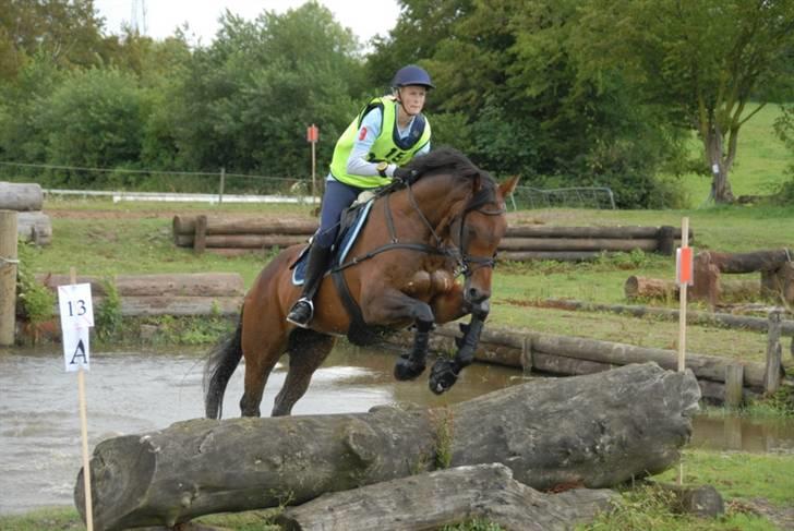 Fuldblod (XX) My Topaz xx - Vandspringet i Sønderskov CNC90, 2009 billede 15