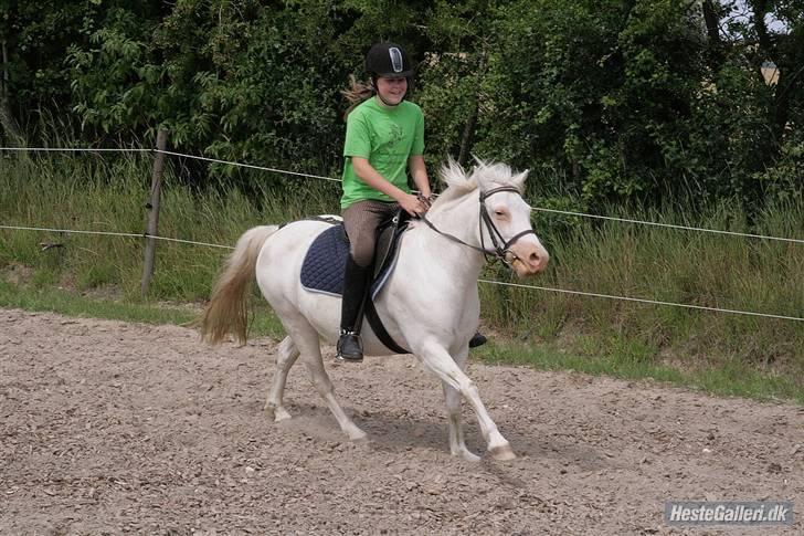 Anden særlig race Ofelia! *SOLGT:´(* - Galop galop jeg får Ello til at skrige af grin når jeg hopper lidtxD Foto: ja tør i gætte?? NEMLIG Loden!xD billede 13