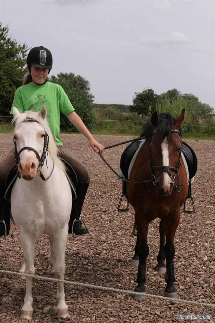 Anden særlig race Ofelia! *SOLGT:´(* - Øffe, Robin og ElloxD nu må i jo så ha´ det så godt for nu rider vi igen husk at lægge en bedømmelse +++ en kommentar(: Foto:Loden billede 15