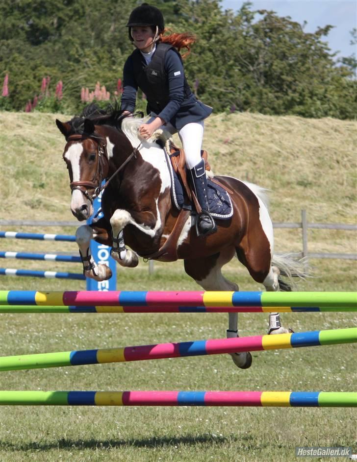Hollandsk Sportspony SPECIAL udlånt - LA**/MB** løgstrup, 2009. billede 4