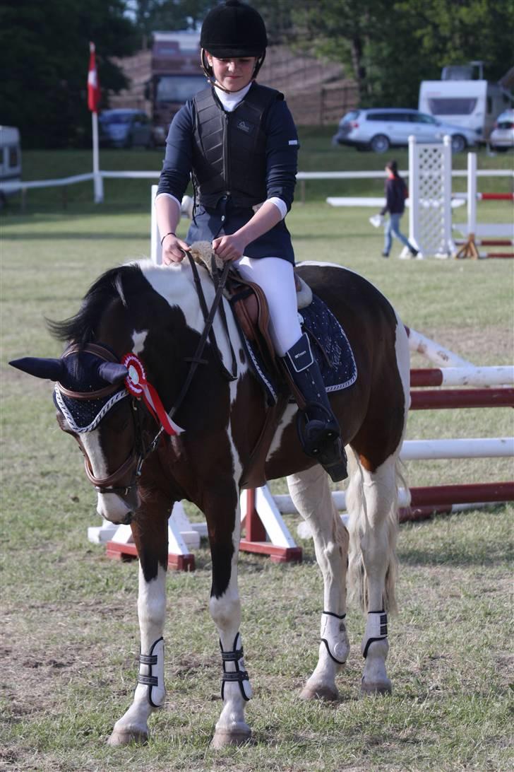 Hollandsk Sportspony SPECIAL udlånt - Vinder MB** - morsø 2009 billede 5