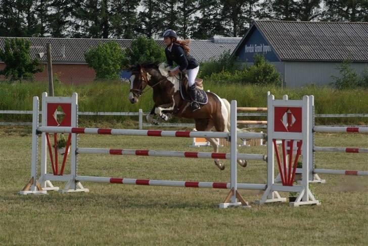 Hollandsk Sportspony SPECIAL udlånt - MA** skive 2009 - vores første  billede 12