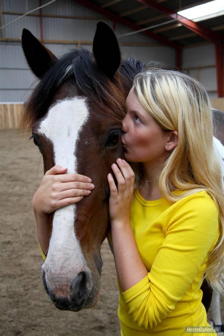 Hollandsk Sportspony SPECIAL udlånt - 2008 love<3 billede 17