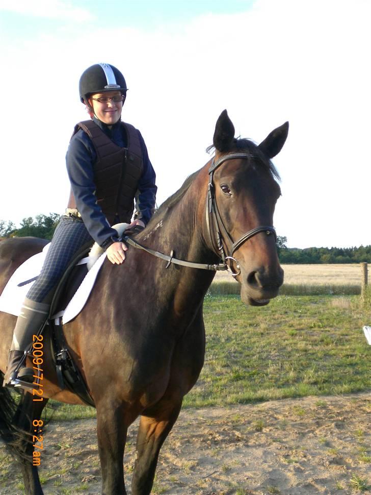 Traver Ginkgo Star billede 13