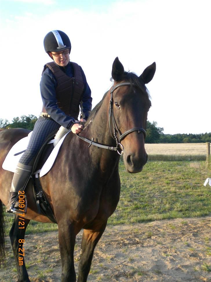 Traver Ginkgo Star billede 15