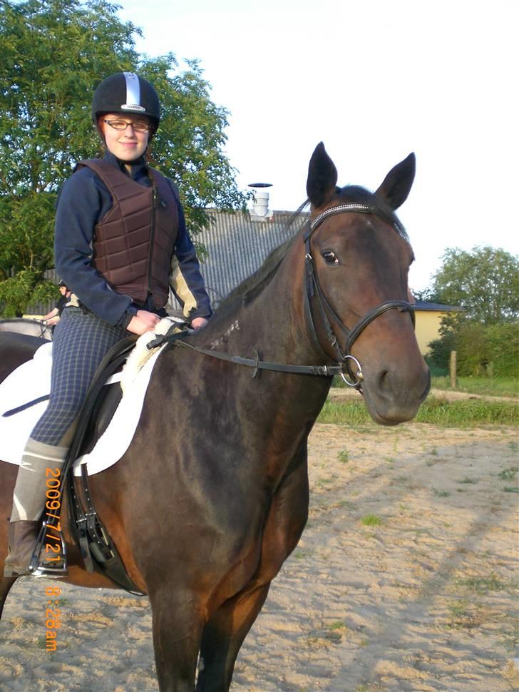 Traver Ginkgo Star billede 17