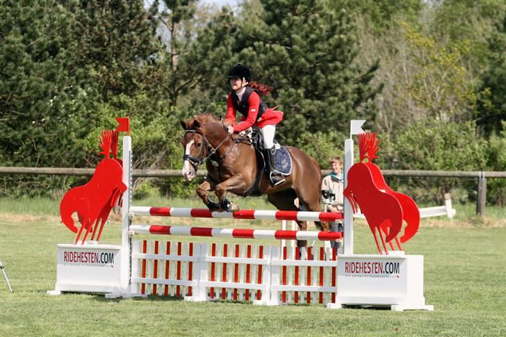 New Forest MISTY - landsstævne MB** 2009. billede 2