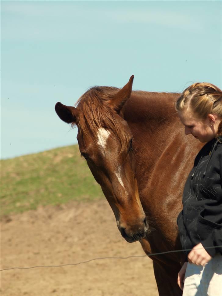 Anden særlig race Joy - Velkommen til Joy´s profil.  billede 1