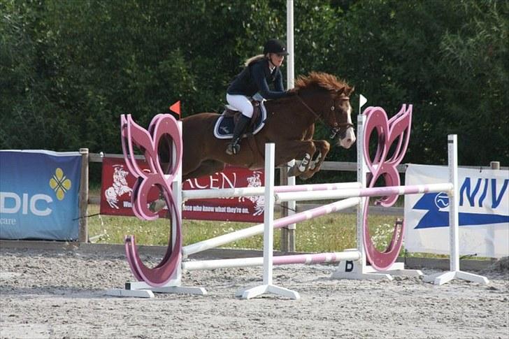 New Forest MISTY - Landsstævne MB** 2010. billede 10