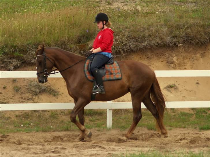 Anden særlig race Joy - første gang jeg rider Joy <3 billede 3