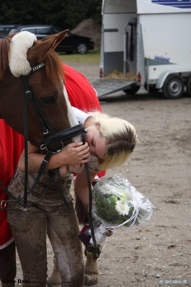 New Forest MISTY - Syddansk mesterskab 2008.  billede 12