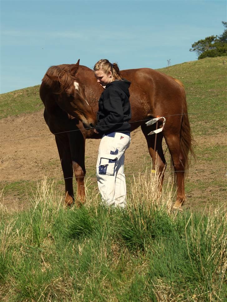 Anden særlig race Joy - Joy og jeg hygge snakker på folden <3 billede 6