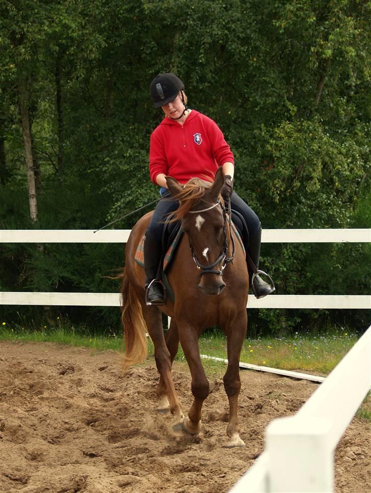 Anden særlig race Joy - første gang jeg rider Joy <3 billede 7