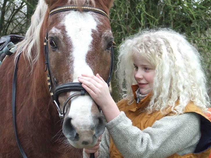 Anden særlig race Anton (gammel ridehest?) - Nurh! billede 10