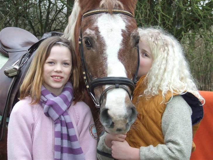 Anden særlig race Anton (gammel ridehest?) - Julie (t.v) Anton og mig billede 12