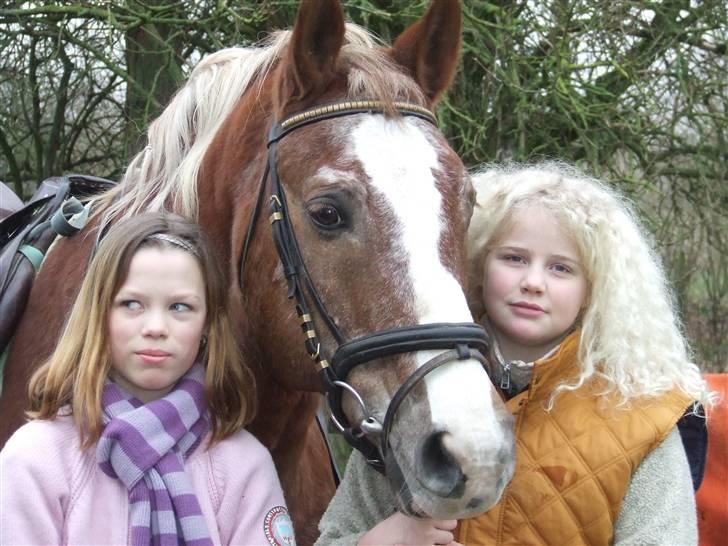 Anden særlig race Anton (gammel ridehest?) - Julie (t.v) Anton og mig billede 13