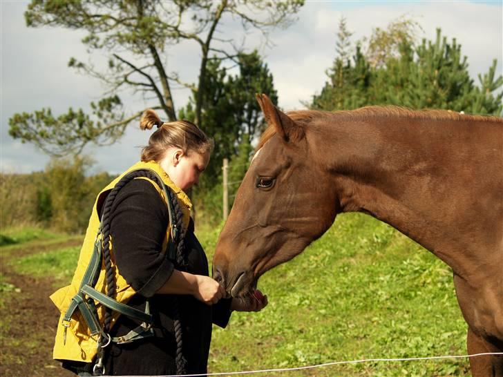 Anden særlig race Joy - Joy og hendes ejder :D <3 billede 13