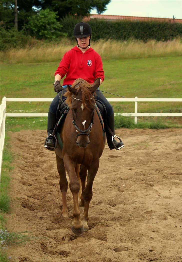 Anden særlig race Joy - første gang jeg rider Joy <3 billede 15