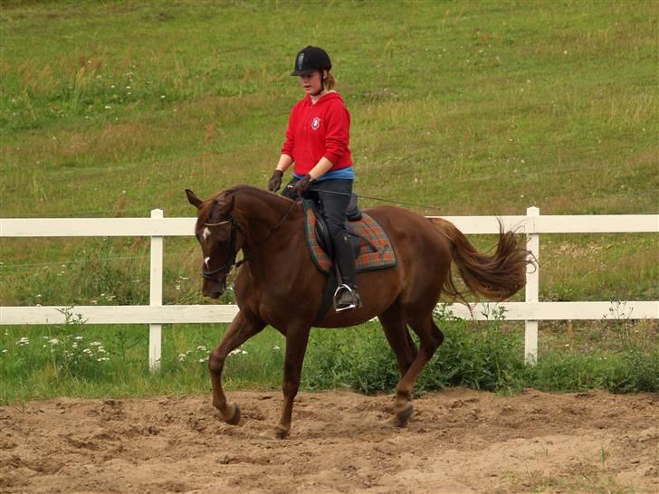 Anden særlig race Joy - første gang jeg rider Joy <3 billede 16