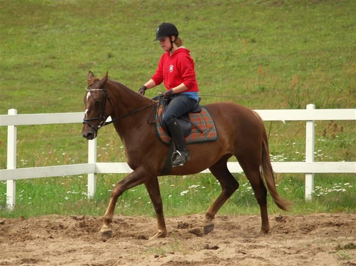 Anden særlig race Joy - første gang jeg rider Joy <3 billede 18