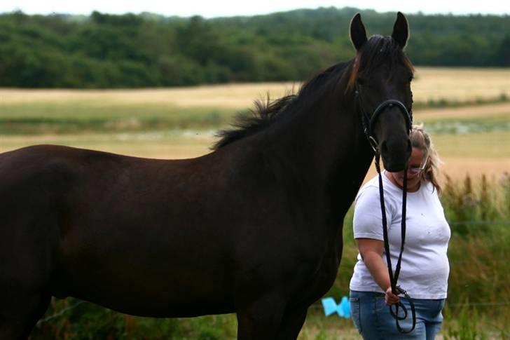Anden særlig race Mosegaards El Diablo *SOLGT* - Se lige hans blommer i sadellejet =0) Billede: Vickie. billede 19
