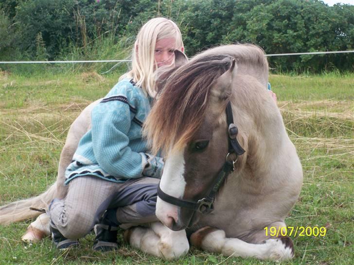 Anden særlig race Surprice - 17)  billede 17
