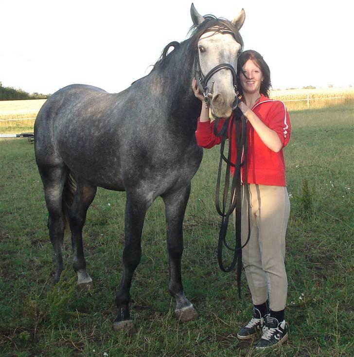 Lusitano Bizarro Da Cerca *bisse* billede 5