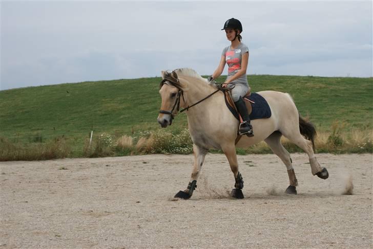 Fjordhest Tanja Godthaab *red* - galop galop! (: d. 22/7-09 (foto: Christina) billede 12