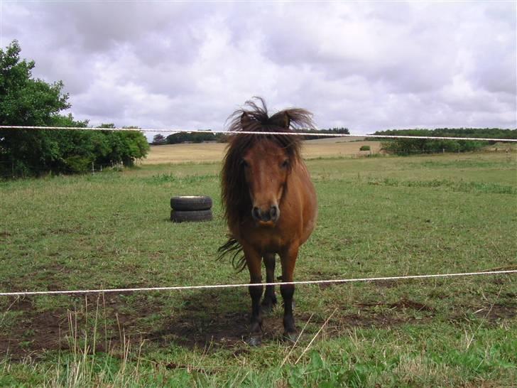 Miniature Mitzi<33  | | Solgt | | - Se jeg har fået læbestift på (: hihi!! billede 10