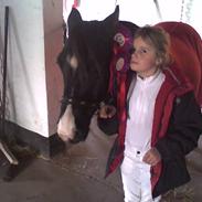 Anden særlig race Domino  (SOLGT)