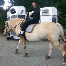 Anden særlig race tundhild (: . R.I.P :-( 