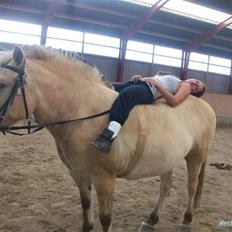 Anden særlig race tundhild (: . R.I.P :-( 