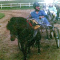 Anden særlig race Bandit<3 R.I.P 2001;'/