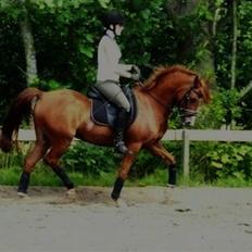 Anden særlig race magic fancy fancy(ik min)