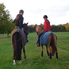 Anden særlig race magic fancy fancy(ik min)