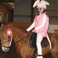 Welsh Pony (sec B) Hedebo's Cindi