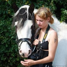 Barockpinto Nordholm's Aiko *R.I.P* 