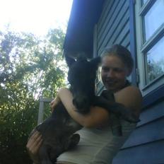 Anden særlig race † Pindstruphavens Turbo †