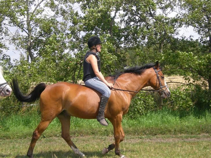 Anden særlig race Robin. (Tidl. part) - En hyggelig dag på græsset..<3 billede 6