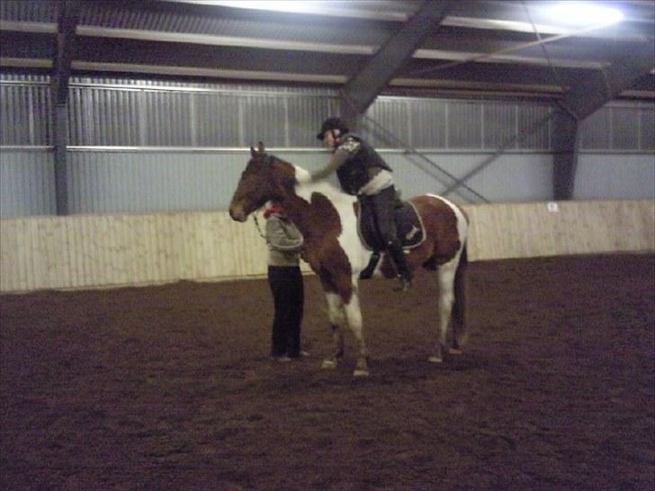 Pinto Højvang's Ikaros  - Majken på ryggen af Ikaros for første gang. :-) Undskyld kvaliteten. Efteråret 2009.  billede 7